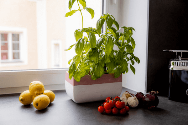 Holiday flat near the old town - Passau - Kitchen with all necessary utensils