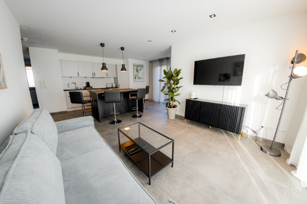 Cosy living area - Apartment Herzogenaurach - The Garden
