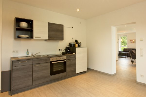 Spacious kitchen apartment Rheinfelden for 7 persons - BONNYSTAY in Rheinfelden