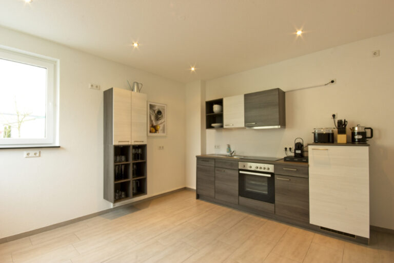 Spacious kitchen with dishwasher - Rheinfelden - 7 persons
