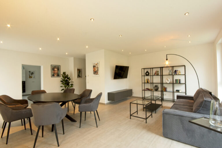 Spacious living area vacation apartment for 7 guests - Rheinfelden
