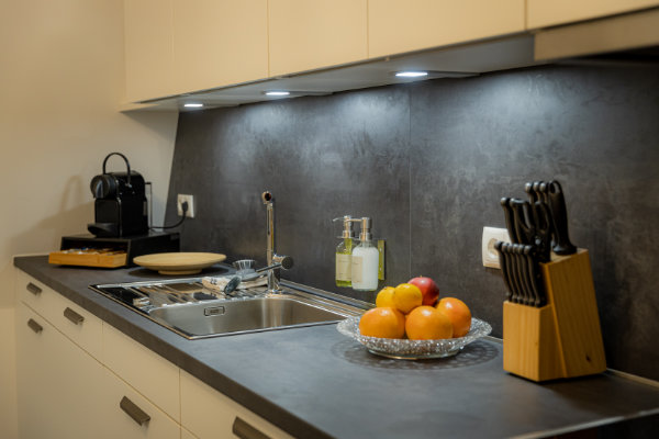 Küchen mit Kühlschrank, Gefrierschrank und Geschirrspüler - Ferienwohnung Passau - BONNYSTAY
