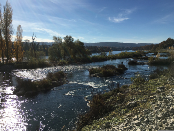 Rheinfelden (Baden) grüne Umgebung