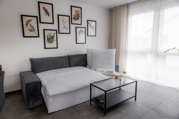 Schlafcouch im Wohnbereich im Apartment - BONNYSTAY Herzogenaurach