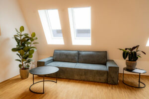 Schlafcouch im Wohnzimmer - Ferienwohnung Passau