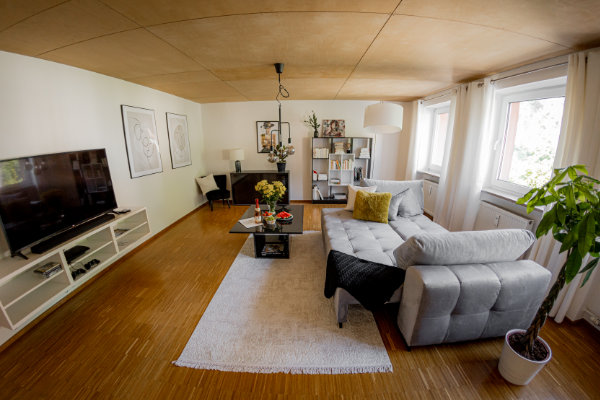Sofa bed in the living area