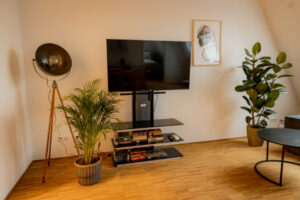 Smart-TV, Netflix und Highspeed-WIFI