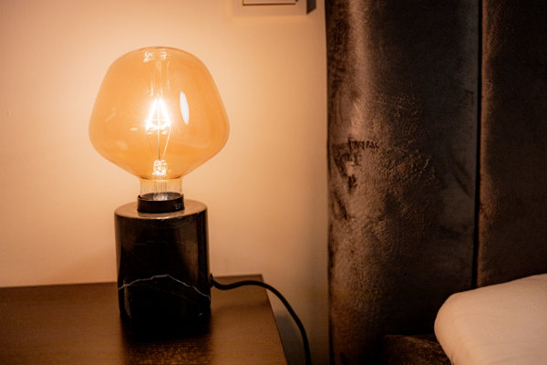 Stylish with many extras - Apartment Herzogenaurach - The Garden