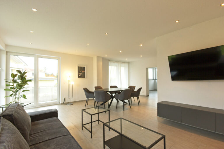 TV, WLAN, books - Holiday apartment - Rheinfelden 7 persons