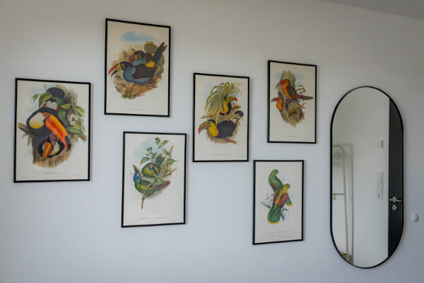 Viele Details Apartment Bird - Herzogenaurach